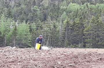 a farmer's field with trees in the background,and a man sowing something from a yellow bucket